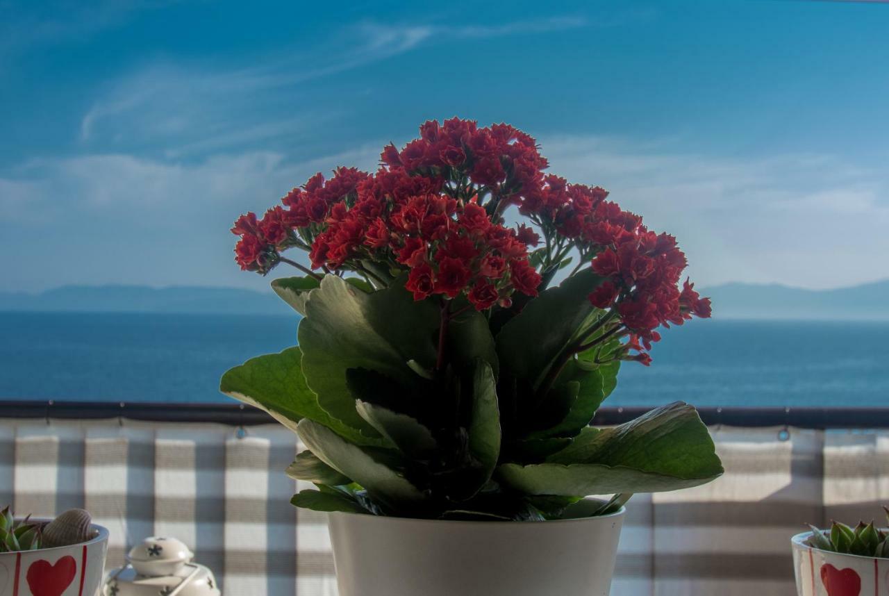Apartment Paradise View Rijeka Exterior photo